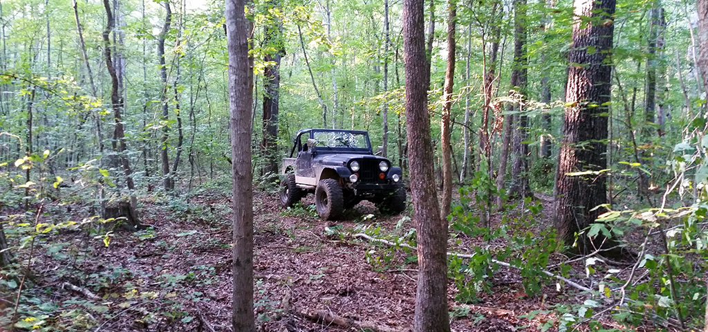 Daisy Our 1985 CJ-7