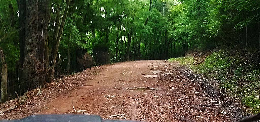 Pope Road a public gravel road in Limestone County 