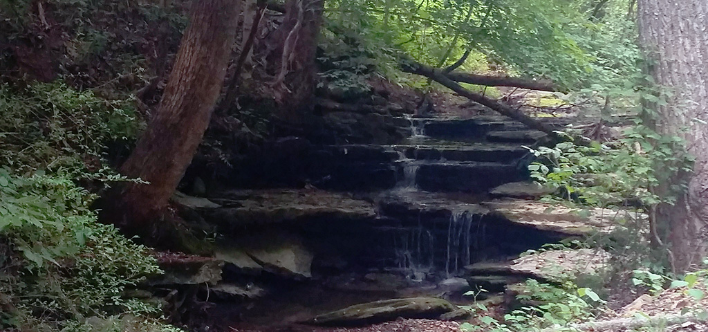 Small Waterfall on Dupree Hollow Limestone Co.