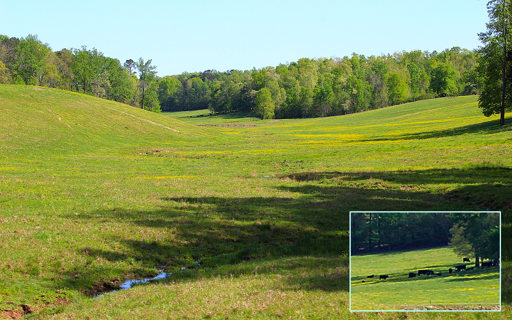 Beautiful Hidden Valley on Upper Snake Road in Alabama